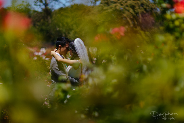 San-Jose-Backyard-Wedding-Dan-Phan-Photography_019